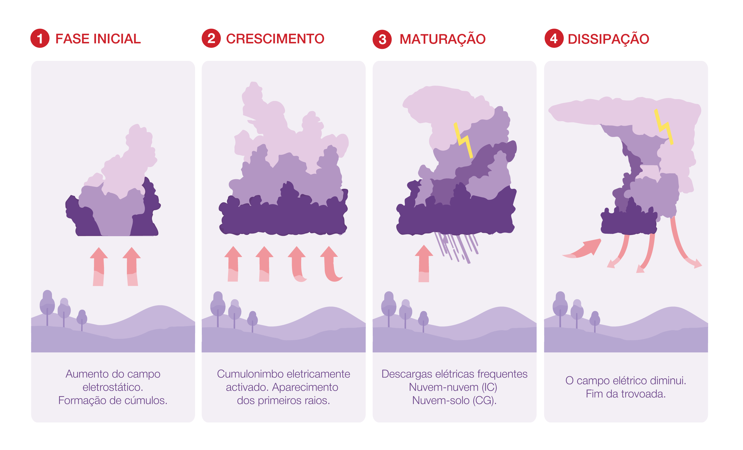 Fases de la tormenta