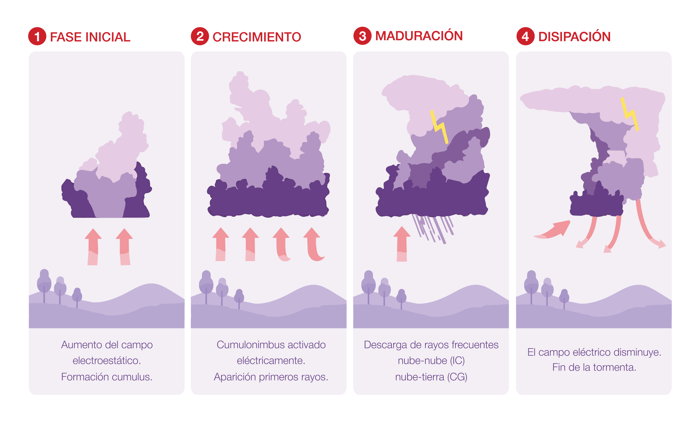 Fases de la tormenta