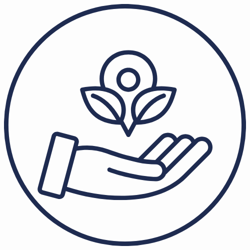 Conocimiento del mercado local